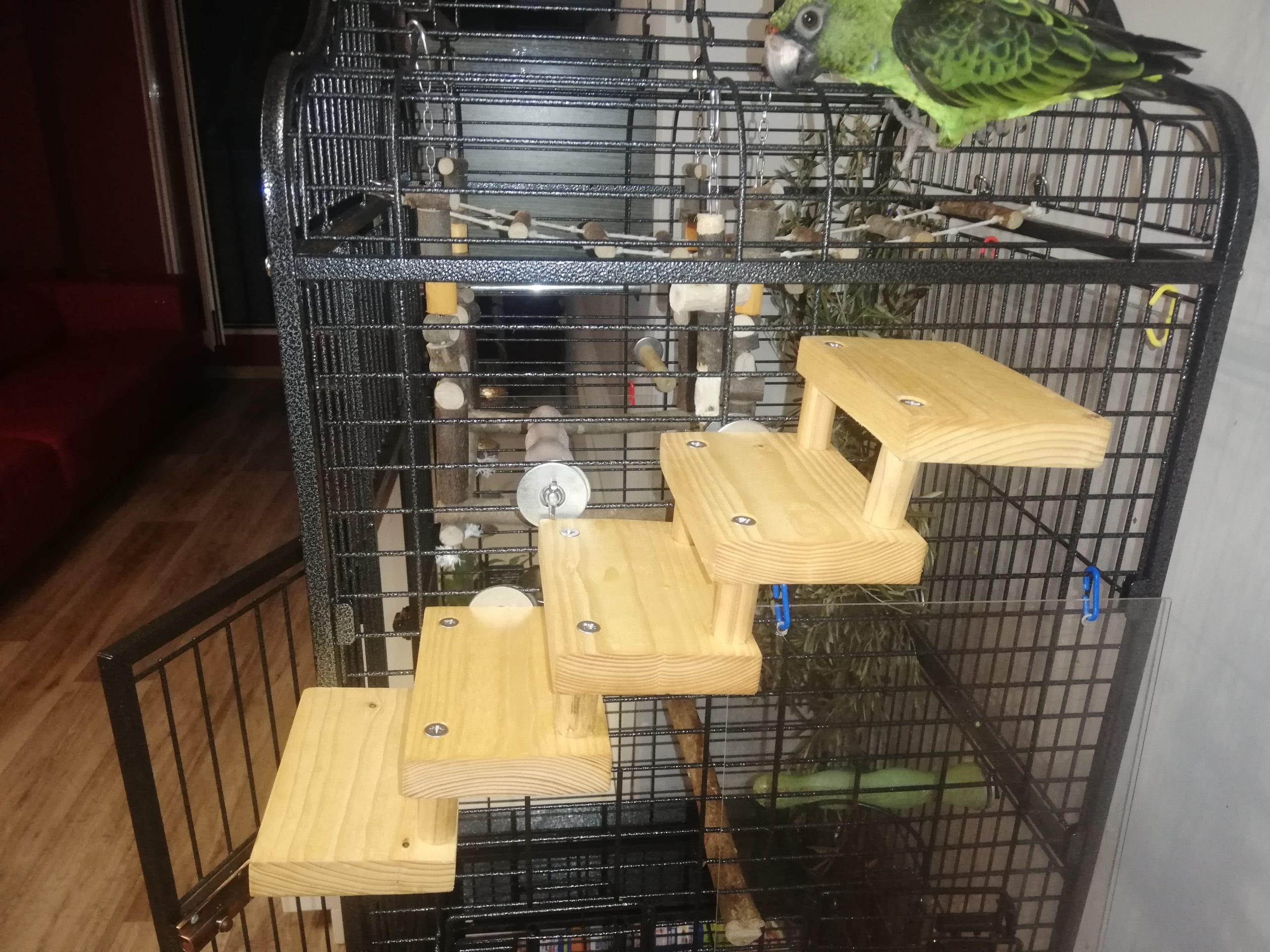 Juguete para loros jardineros caiques, pyrrhuras, ninfas