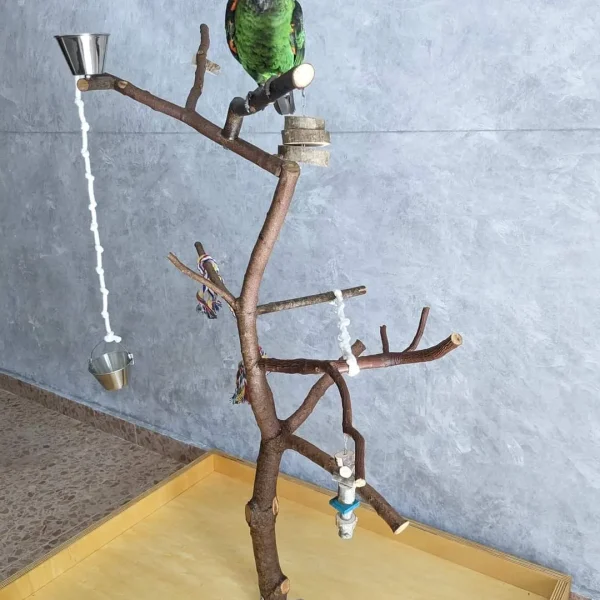 Árbol parque para loros agaporni, ninfas y todo tamaño similar, posadero grande de pájaros caique, conures, rosellas, cotorras del sol, pyrrhuras, jardineros, zona de juego natural con su corteza, percha con comedero de aves, mascota libre de jaulas, accesorios lima picos y juguetes antiestrés de loros, CALIDAD PREMIUM - Imagen 2