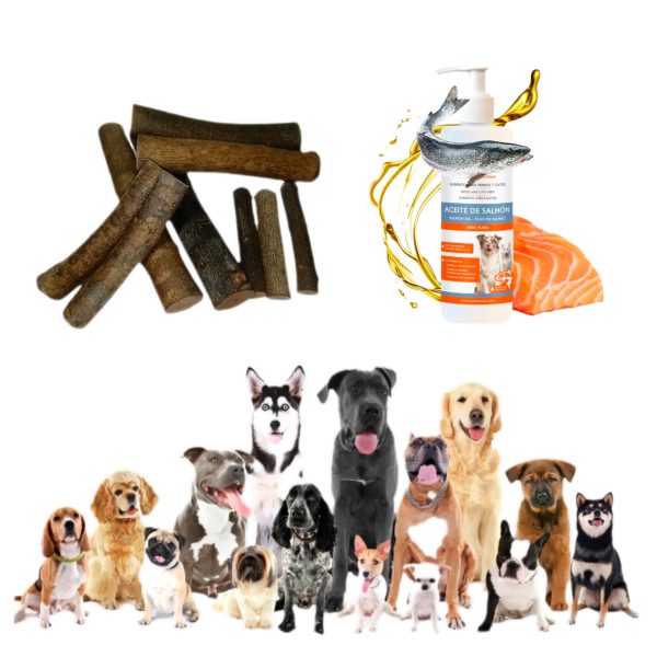 Huesos para perros, palos de olivo pack 2 y 3 und bañados en aceite de salmón, juguete antiestrés de perros, mordedor canino sin astillas.