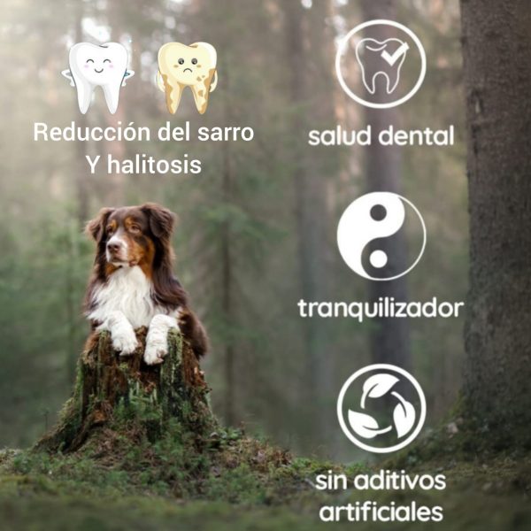 Huesos para perros, palos de olivo pack 2 y 3 und bañados en aceite de salmón, juguete antiestrés de perros, mordedor canino sin astillas. - Imagen 5