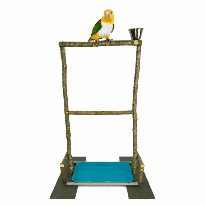 Posadero grande para loros p/medianos tipo caique, pyrrhura, cotorra, juguete percha natural con comedero de loros conures, descanso de aves, bandeja higiene.