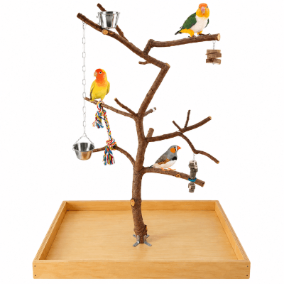 Árbol parque para loros agaporni, ninfas, posadero grande de caique, conures, rosellas, cotorras, pyrrhuras, percha con comedero de aves, accesorios lima picos y juguetes antiestrés de loros.