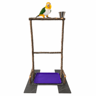 Posadero grande para loros p/medianos tipo caique, pyrrhura, cotorra, juguete percha natural con comedero de loros conures, descanso de aves con bandeja higiene.