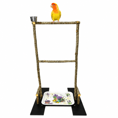 Posadero para aves agaporni, ninfas, pájaros, percha grande y natural para el descanso y duchas de loros, bandeja de higiene y comedero de pájaros.