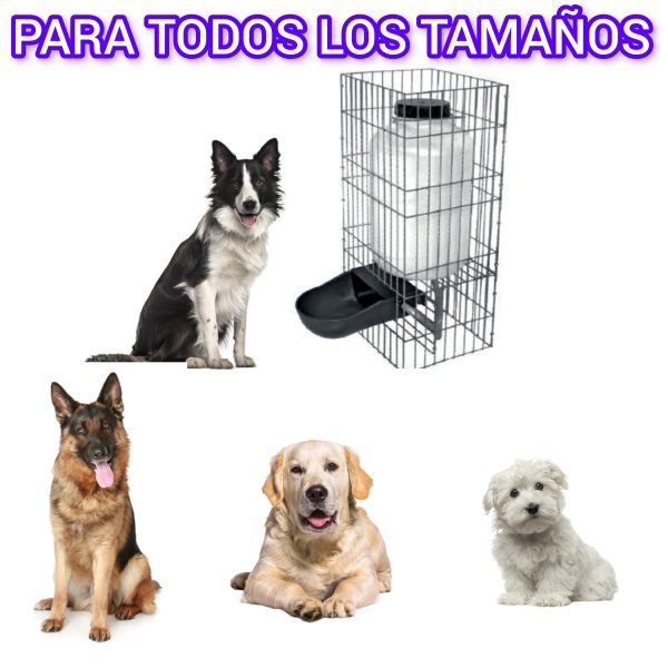 Bebedero semiautomático para todos los tamaños de perros, depósito 10l con nivel de agua constante, limpia y fresca, bebecan con rejilla antimordeduras, comedero canino elegible, CALIDAD PREMIUM. - Imagen 3