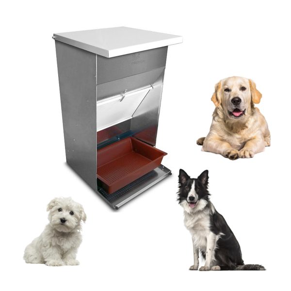 Comedero para perros pequeños y medianos, tolva de pienso canino con bandeja extraíble, dispensador galvanizado con tapa protectora antiroedores, bebedero de perros elegible, CALIDAD PREMIUM.