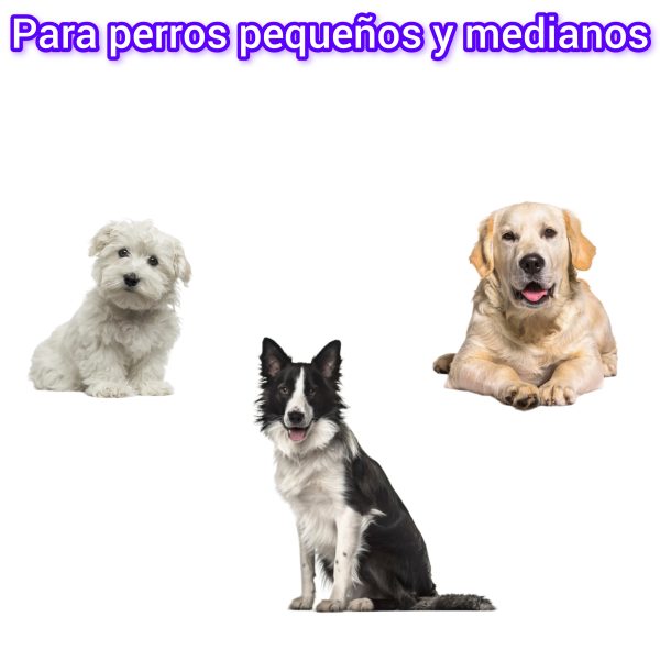 Comedero para perros pequeños y medianos, tolva de pienso canino con bandeja extraíble, dispensador galvanizado con tapa protectora antiroedores, bebedero de perros elegible, CALIDAD PREMIUM. - Imagen 4