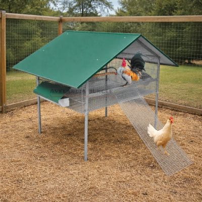 Gallinero de malla electrosoldada para aves de corral, habitáculo de exterior con ponedero y posadero de gallinas, refugio con rampa y techo prelacado, comederos y bebederos de gallos, CALIDAD PREMIUM.