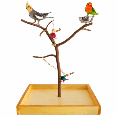 Árbol de sobremesa para loros agaporni, ninfa, periquitos, posadero de pájaro canario, mandarines, jilguero, zona de juego natural con su corteza, percha con comedero de aves, juguetes y accesorios lima picos y antiestrés de loros, CALIDAD PREMIUM.