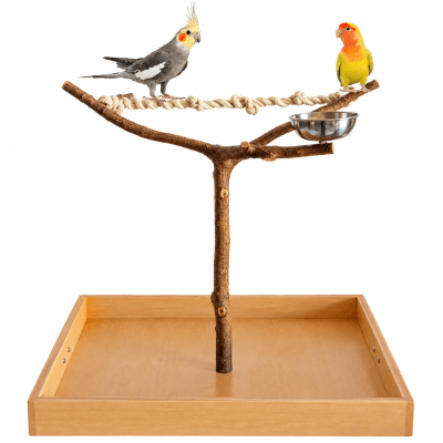 Árbol de sobremesa artesanal para loros agaporni, ninfa, posadero de periquitos, mandarines, zona parque de juego natural de aves, percha con accesorios lima picos de loros.