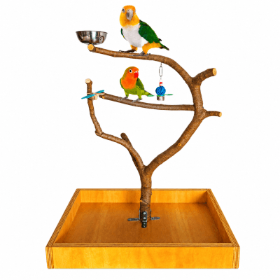 Árbol de sobremesa artesanal para loros caique, agaporni, ninfa, posadero de pájaro mandarin, periquito, zona parque de juego natural de aves, percha con accesorios lima picos y antiestrés de loros.