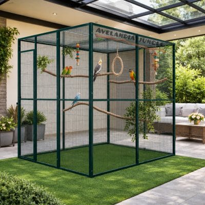 Pajarera de interior malla, para loros agaporni, loris, voladera de aves conures, pyrrhuras, habitáculo para pájaros canarios, periquitos, jilgueros, 205cm x 205cm, CALIDAD PREMIUM.