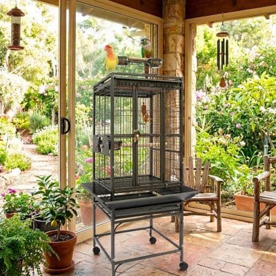 Jaula premium para ninfas, caiques, agapornis, refugio de loros pyrrhuras, nobilis.